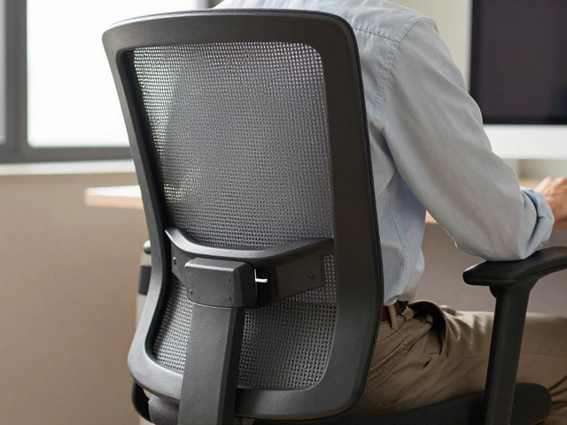 Chiropractor-Approved Office Chairs for Back Pain Relief
